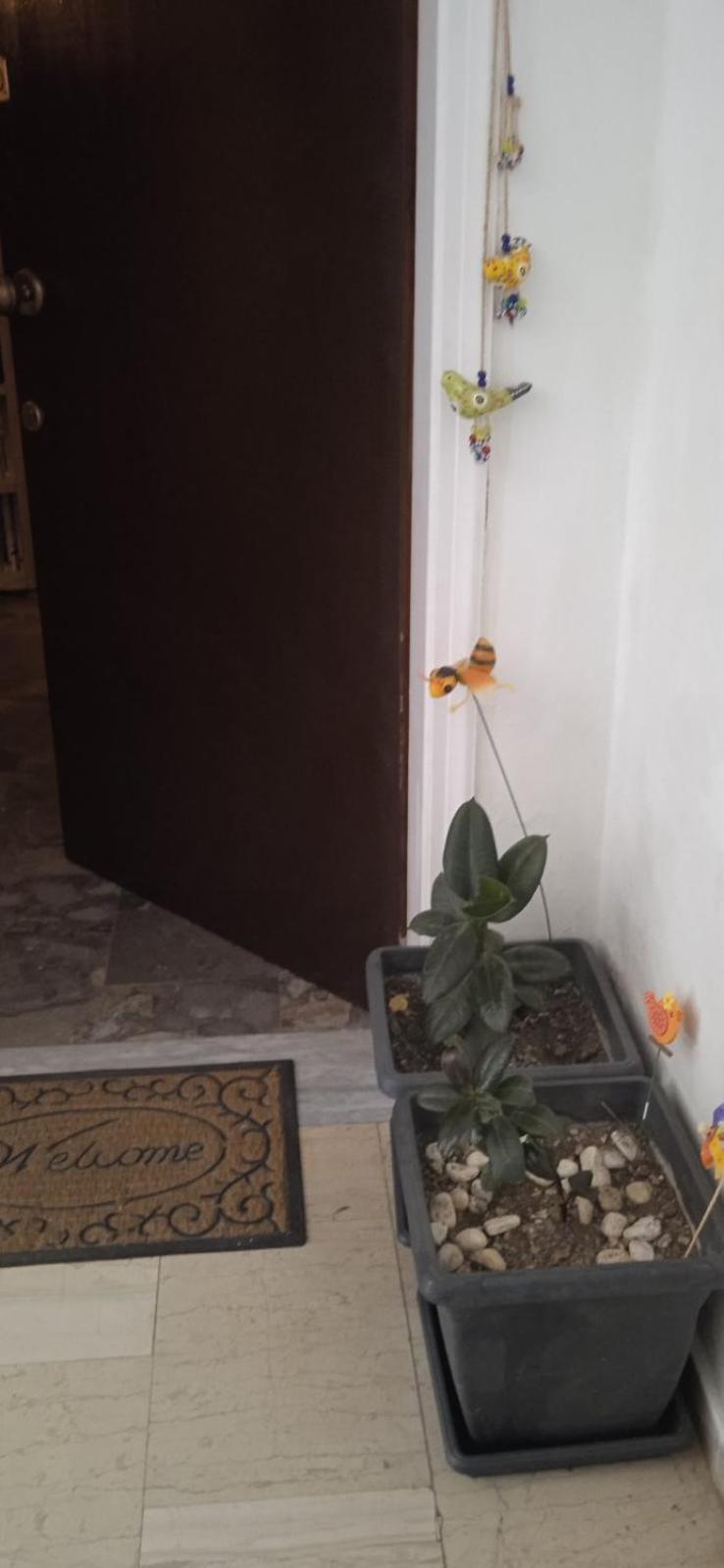 Campelina Home, 2Bd Near Corfu Town Exterior foto